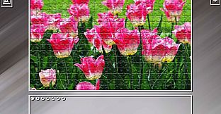 Super Jigsaw Puzzle: Generations - Flowers 2