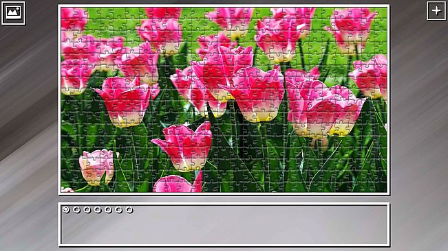 Super Jigsaw Puzzle: Generations - Flowers 2
