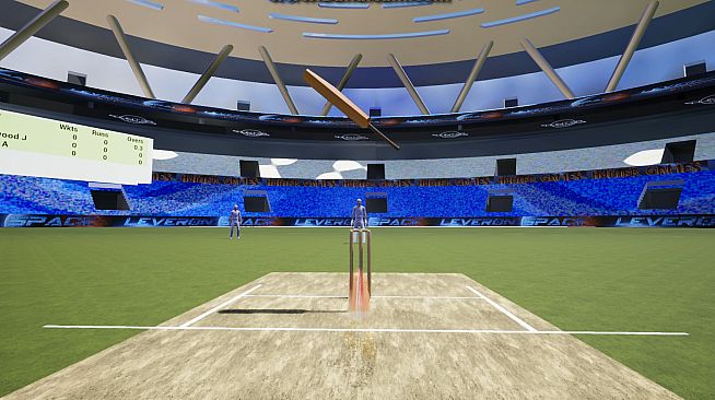 VR Cricket