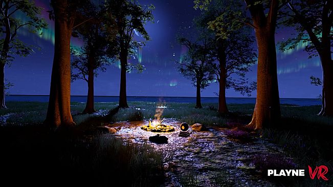 Playne VR