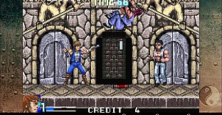 DoubleDragon Advance