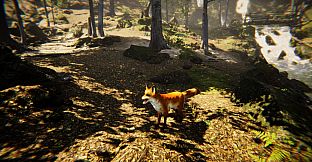 Animal