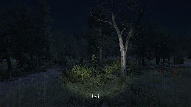 Light Head Hentai Edition