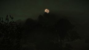 Wooden Floor 2 - Resurrection