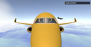 Worst Airline Ever