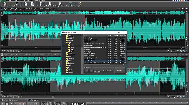 WavePad Audio Editor