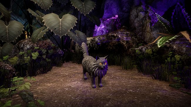 Another Sight - Hodge Skins