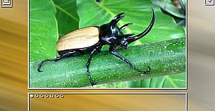 Super Jigsaw Puzzle: Generations - Bugs Puzzles