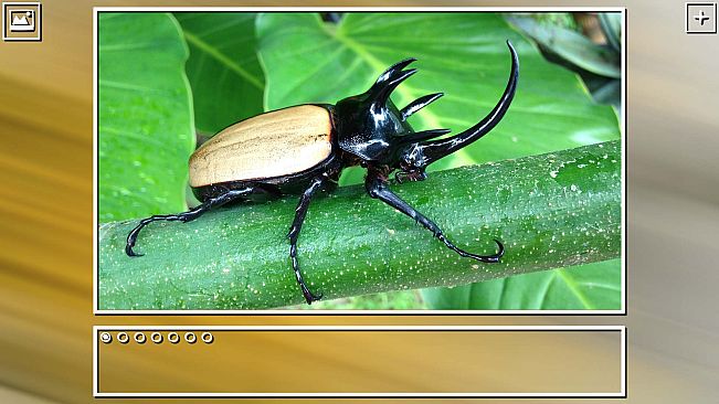 Super Jigsaw Puzzle: Generations - Bugs Puzzles