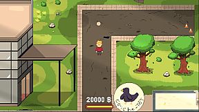 Bling Bling Bankruptcy