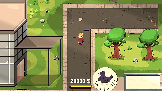 Bling Bling Bankruptcy