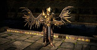Path of Exile 2 - Arbiter of Divinity Supporter Pack