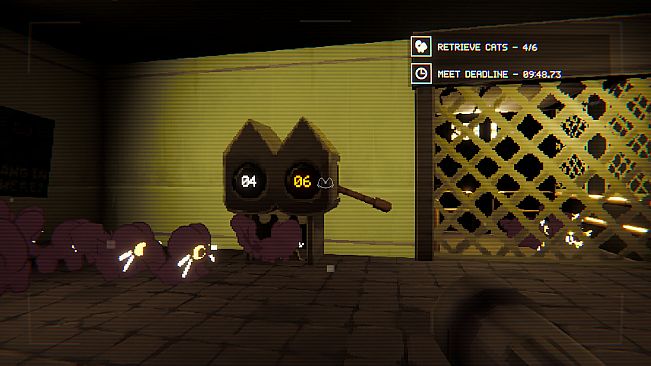 Have You Seen This Cat?