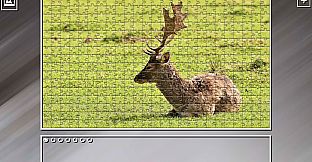 Super Jigsaw Puzzle: Generations - Random Animals 4