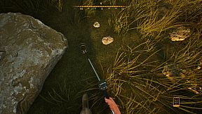 Treasure Hunter Simulator