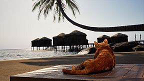 Resort Island Simulator