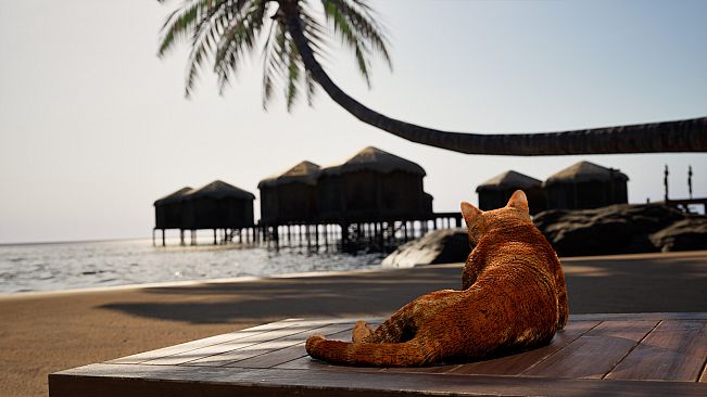 Resort Island Simulator