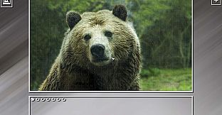 Super Jigsaw Puzzle: Generations - Random Animals Puzzles