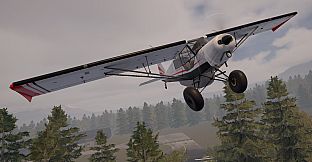 Deadstick - Bush Flight Simulator