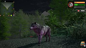 Wolf Simulator: Silent Paws