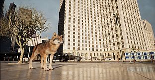 Pigeon Flight Simulator