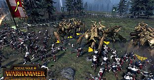 Total War: WARHAMMER - Realm of The Wood Elves