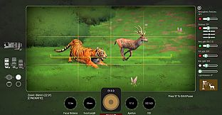 The Great Indian Safari