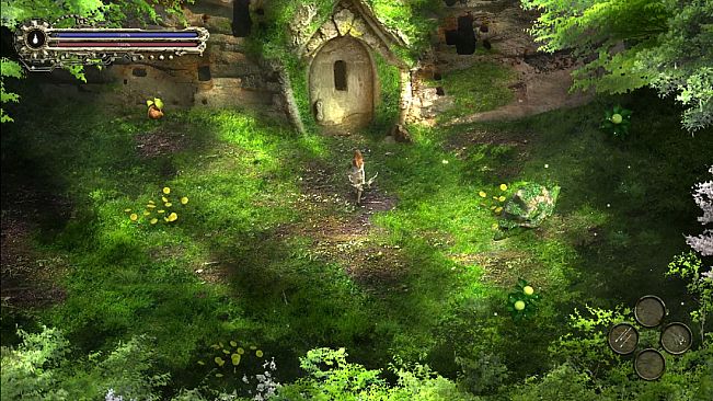 Bloom: The Forest Burns