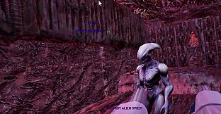 Armeda VR