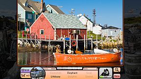 I Love Finding MORE Pups