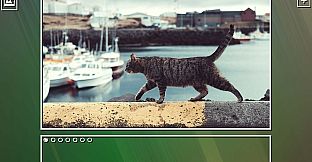 Super Jigsaw Puzzle: Generations - Cats Puzzles
