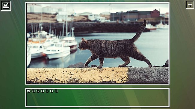 Super Jigsaw Puzzle: Generations - Cats Puzzles