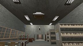 The Library