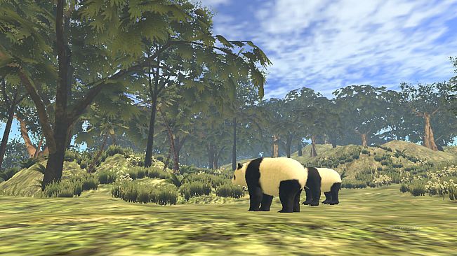 VR World of Pandas