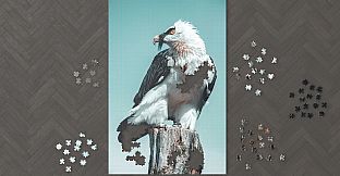 Jigsaw Puzzle Palace - Nature