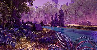 Mystic Grove