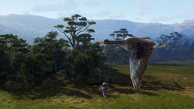 Way of the Hunter - Matariki Park