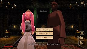 Fallen Princess Knight