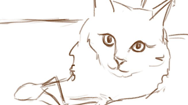 Cute Cats - Digital Artbook + Bonus Videos