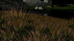 Freedom: A Time to Reckon