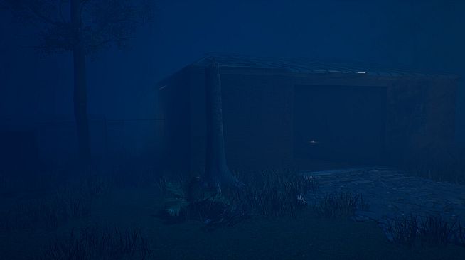 Slender Signal Loss