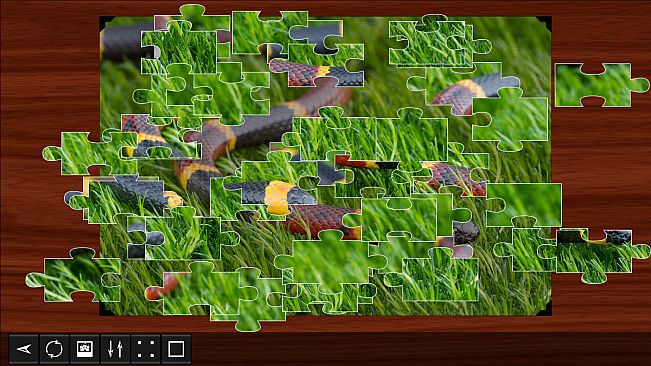 Jigsaw Puzzle World - Reptiles 2