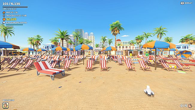The Coast is Clear: Tidy up the Beach!