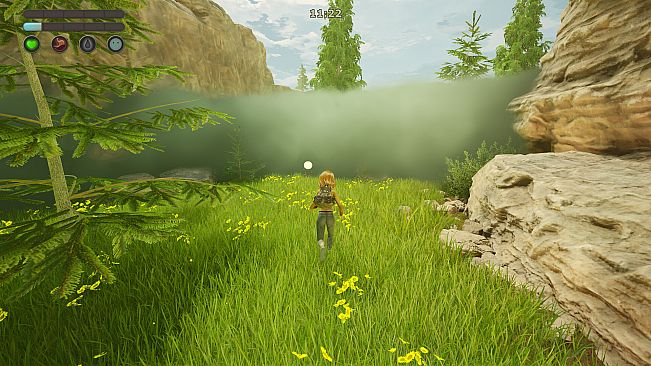 Quiet Grove: Lost in the Fog
