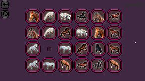 Animals Memory: Horses