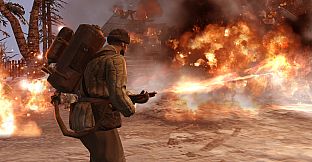 Company of Heroes 2