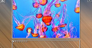 Super Jigsaw Puzzle: Generations - Sealife Puzzles