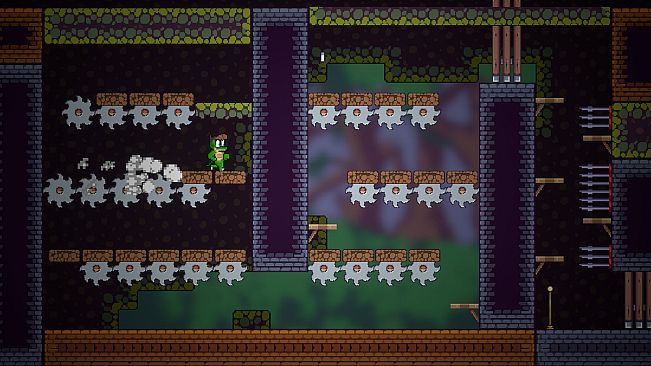 The Alligators Bundle