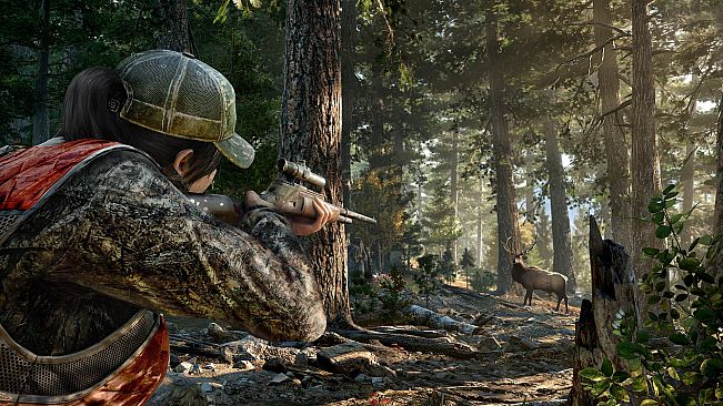 Far Cry 5