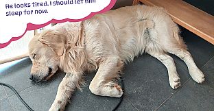 Golden Retriever Simple Life